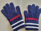 知多郡阿久比町　少年野球チーム「草木レインボー」様　オリジナル手袋